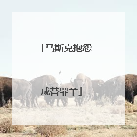马斯克抱怨成替罪羊