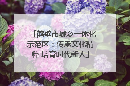 鹤壁市城乡一体化示范区：传承文化精粹 培育时代新人