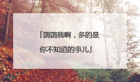 鹮鹮我啊，多的是你不知道的事儿