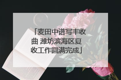 麦田中谱写丰收曲 潍坊滨海区夏收工作圆满完成