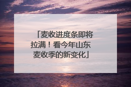 麦收进度条即将拉满！看今年山东麦收季的新变化