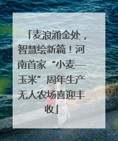 麦浪涌金处，智慧绘新篇！河南首家“小麦—玉米”周年生产无人农场喜迎丰收