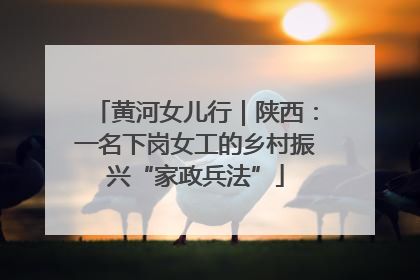 黄河女儿行｜陕西：一名下岗女工的乡村振兴“家政兵法”
