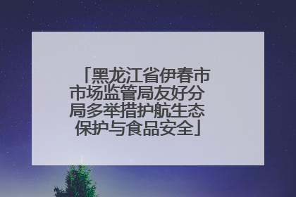 黑龙江省伊春市市场监管局友好分局多举措护航生态保护与食品安全