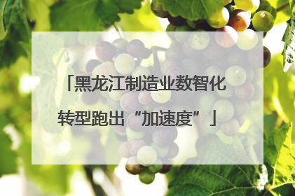黑龙江制造业数智化转型跑出“加速度”