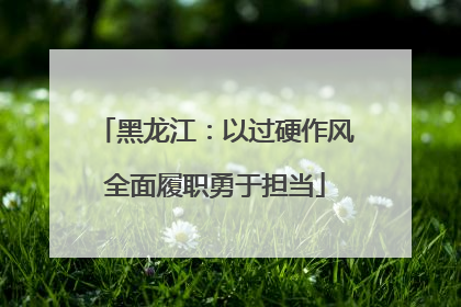 黑龙江：以过硬作风全面履职勇于担当