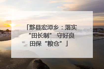 黟县宏潭乡：落实“田长制” 守好良田保“粮仓”