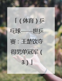 （体育）乒乓球——世乒赛：王楚钦夺得男单冠军（3）
