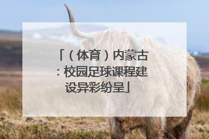 （体育）内蒙古：校园足球课程建设异彩纷呈