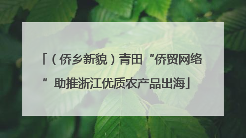 （侨乡新貌）青田“侨贸网络”助推浙江优质农产品出海