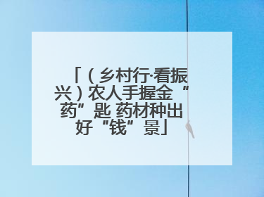 （乡村行·看振兴）农人手握金“药”匙 药材种出好“钱”景