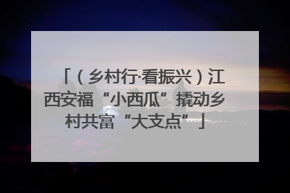（乡村行·看振兴）江西安福“小西瓜”撬动乡村共富“大支点”