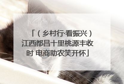 （乡村行·看振兴）江西都昌十里桃源丰收时 电商助农笑开怀