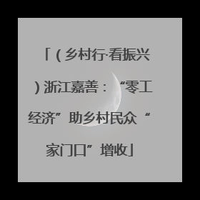（乡村行·看振兴）浙江嘉善：“零工经济”助乡村民众“家门口”增收