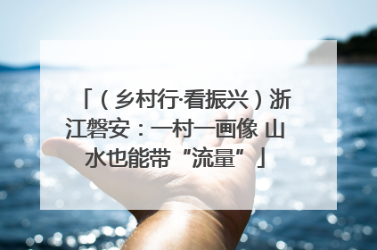（乡村行·看振兴）浙江磐安：一村一画像 山水也能带“流量”