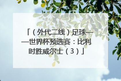 （外代二线）足球——世界杯预选赛：比利时胜威尔士（3）