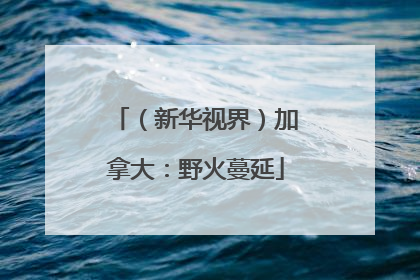 （新华视界）加拿大：野火蔓延