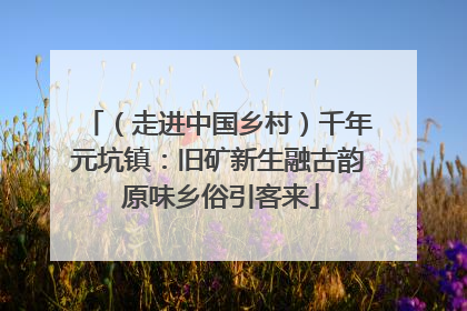 （走进中国乡村）千年元坑镇：旧矿新生融古韵 原味乡俗引客来