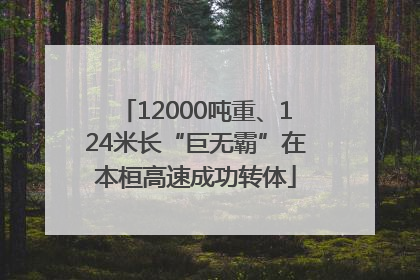 12000吨重、124米长“巨无霸”在本桓高速成功转体
