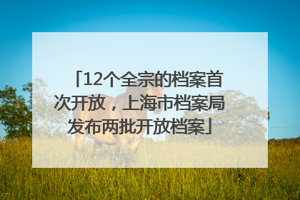 12个全宗的档案首次开放，上海市档案局发布两批开放档案