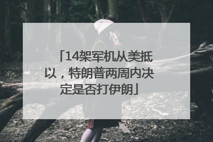 14架军机从美抵以，特朗普两周内决定是否打伊朗