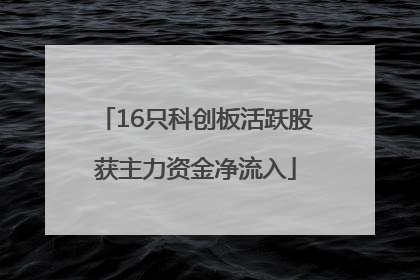 16只科创板活跃股获主力资金净流入