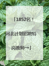 1852名！河北计划招聘特岗教师→