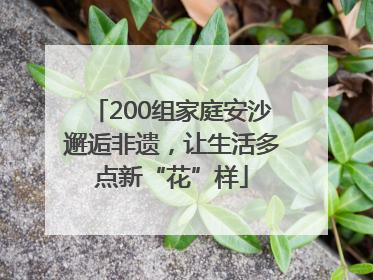 200组家庭安沙邂逅非遗，让生活多点新“花”样