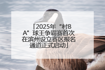 2025年“村BA”球王争霸赛首次在滨州设立赛区报名通道正式启动