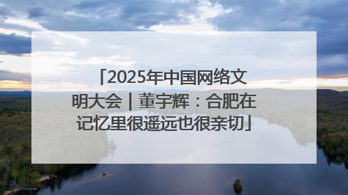 2025年中国网络文明大会｜董宇辉：合肥在记忆里很遥远也很亲切