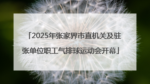 2025年张家界市直机关及驻张单位职工气排球运动会开幕