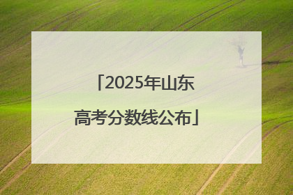 2025年山东高考分数线公布