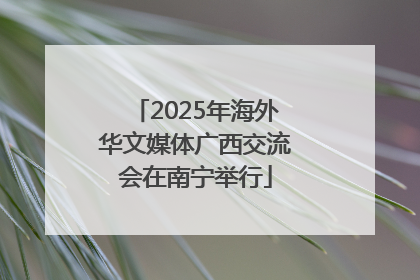 2025年海外华文媒体广西交流会在南宁举行