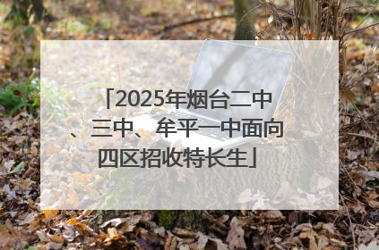 2025年烟台二中、三中、牟平一中面向四区招收特长生