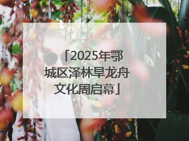2025年鄂城区泽林旱龙舟文化周启幕