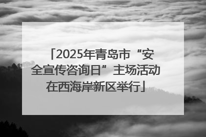 2025年青岛市“安全宣传咨询日”主场活动在西海岸新区举行