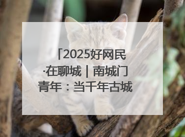 2025好网民·在聊城｜南城门青年：当千年古城遇见青春歌谣 一湖碧水见证的“聊城式浪漫”