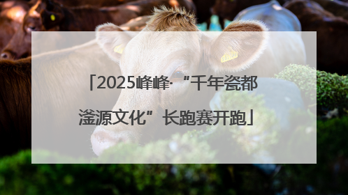 2025峰峰·“千年瓷都 滏源文化”长跑赛开跑