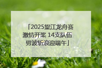 2025望江龙舟赛激情开桨 14支队伍劈波斩浪迎端午