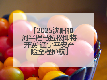 2025沈阳和河半程马拉松即将开赛 辽宁平安产险全程护航