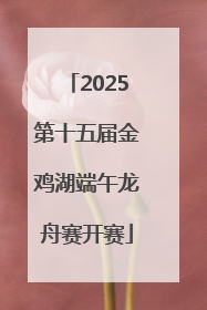 2025第十五届金鸡湖端午龙舟赛开赛