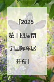 2025第十四届南宁国际车展开幕