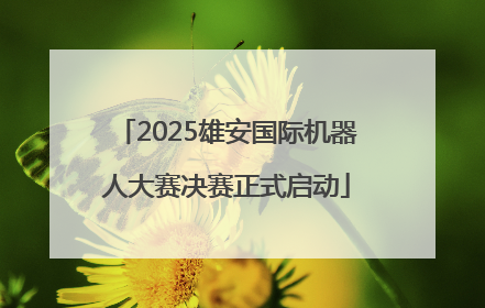 2025雄安国际机器人大赛决赛正式启动