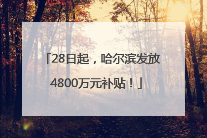 28日起，哈尔滨发放4800万元补贴！
