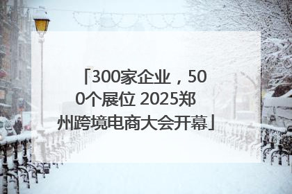 300家企业，500个展位 2025郑州跨境电商大会开幕