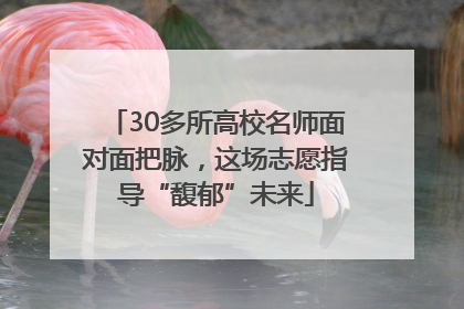 30多所高校名师面对面把脉，这场志愿指导“馥郁”未来