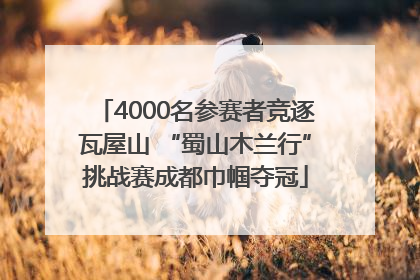 4000名参赛者竞逐瓦屋山 “蜀山木兰行”挑战赛成都巾帼夺冠