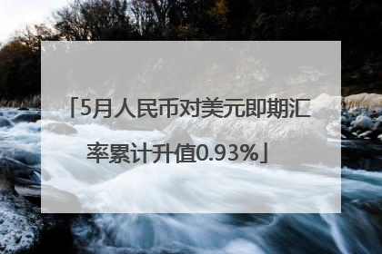 5月人民币对美元即期汇率累计升值0.93%