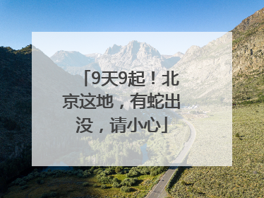 9天9起！北京这地，有蛇出没，请小心