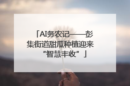 AI务农记——彭集街道甜瓜种植迎来“智慧丰收”